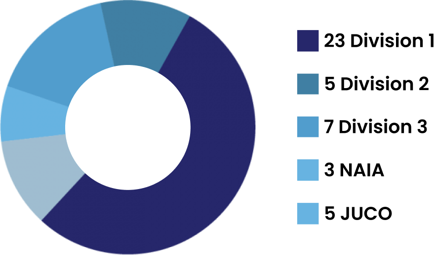 Vector image of a circular graph with divisions labeled in blue