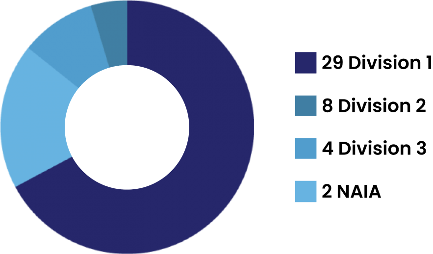 Vector image of a circular graph with division statistics from 2020 labeled in blue